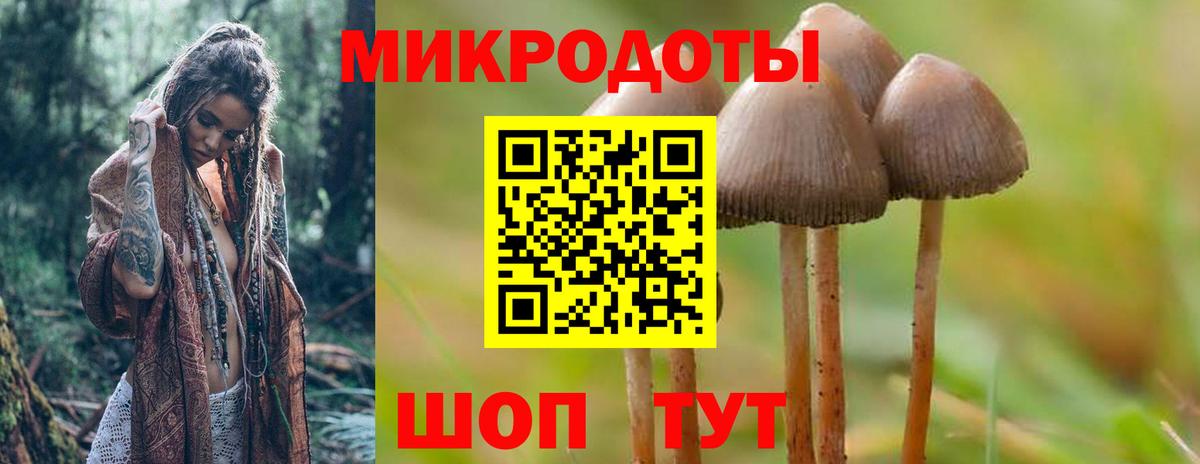 Псилоцибиновые грибы мицелий Альметьевск