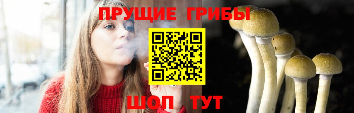 Альметьевск  купить закладку  Вход с VPN  Галлюциногенные грибы Psilocybe  Псилоцибиновые грибы Magic Shrooms 